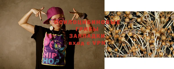 круглые Арсеньев
